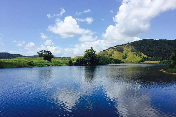 Guided Half-Day Tour of Daintree Rainforest  - Port Douglas - Common questions