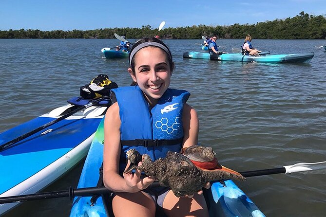 Guided Kayak Mangrove Ecotour in Rookery Bay Reserve, Naples - Customer Reviews