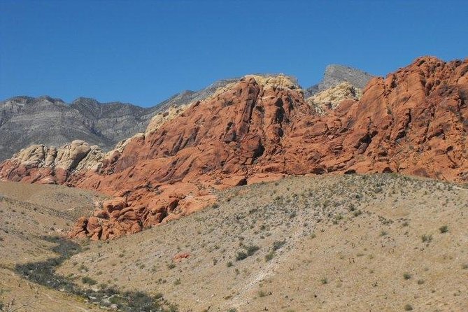 Guided Mountain Bike Tour of Mustang Trail in Red Rock Canyon - Common questions