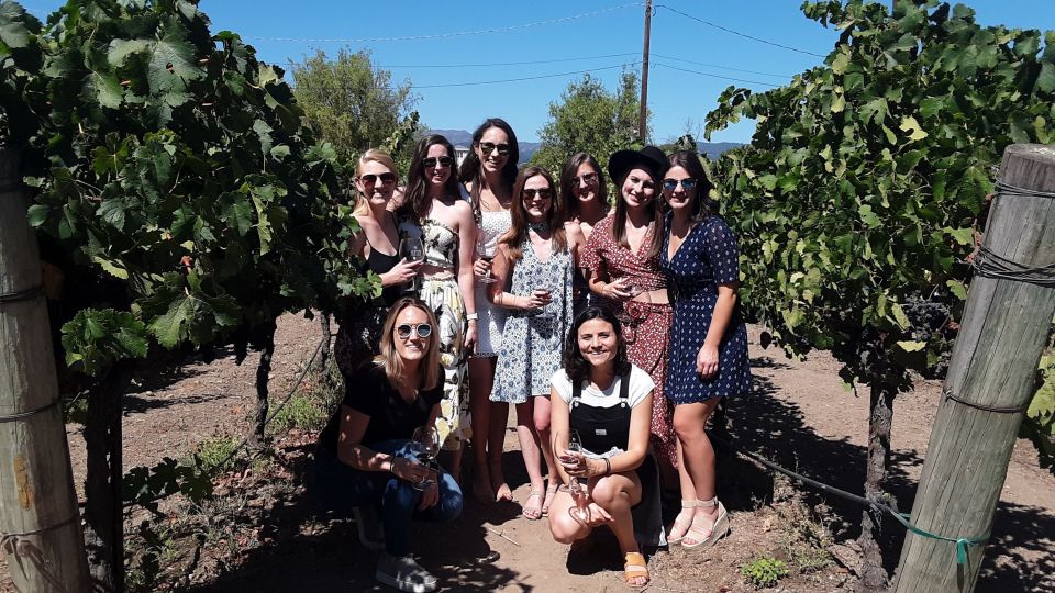 Guided Private Wine Tour to Napa and Sonoma Wine Country - Customer Reviews and Recommendations