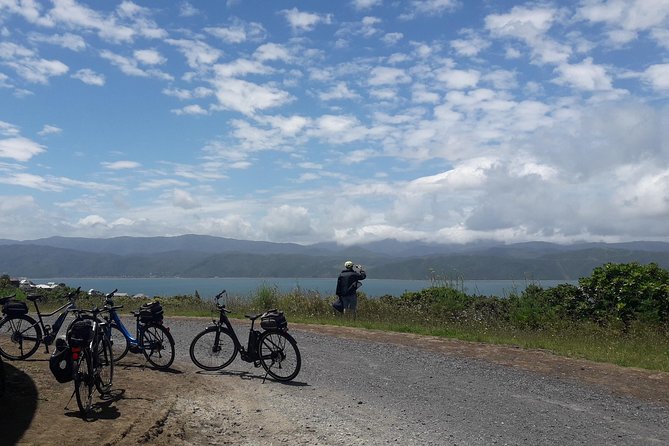 Guided Wellington Sightseeing Tour by Electric Bike - Requirements