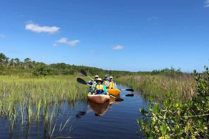 Guided Wildlife Eco Kayak Tour in New Smyrna Beach - Cancellation Policy