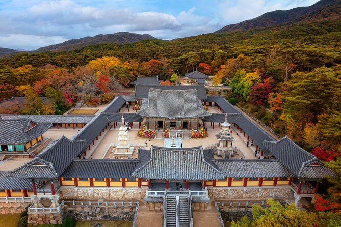 Gyeongju UNESCO World Heritage Guided Day Tour From Busan - Tour Guides Performance and Overall Satisfaction