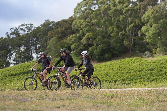 Hahndorf Food and Wine E-Bike Tour - Reviews and Pricing