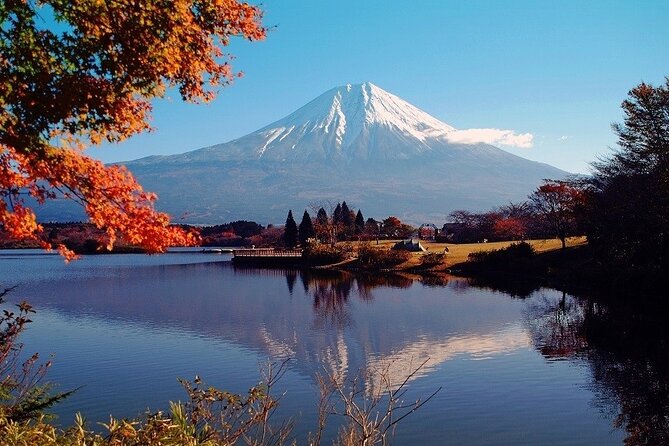Hakone 8 Hour Private Tour With Government-Licensed Guide - Cancellation Policy