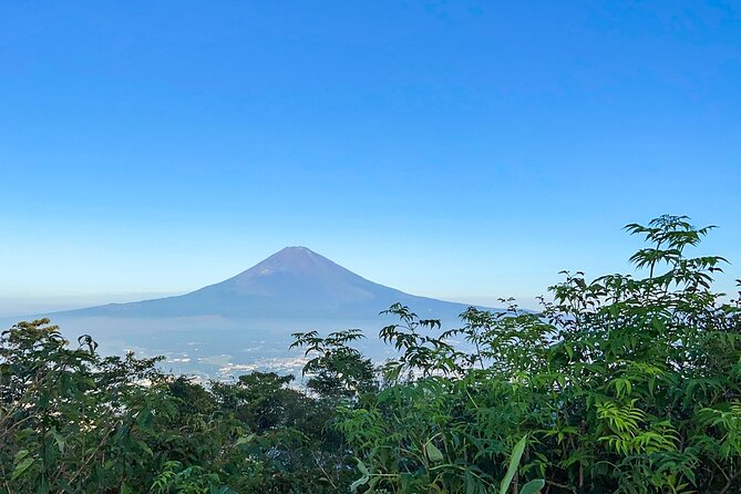 Hakone Old Tokaido Road and Volcano Full-Day Hiking Tour - Hakone Hiking Tour Itinerary