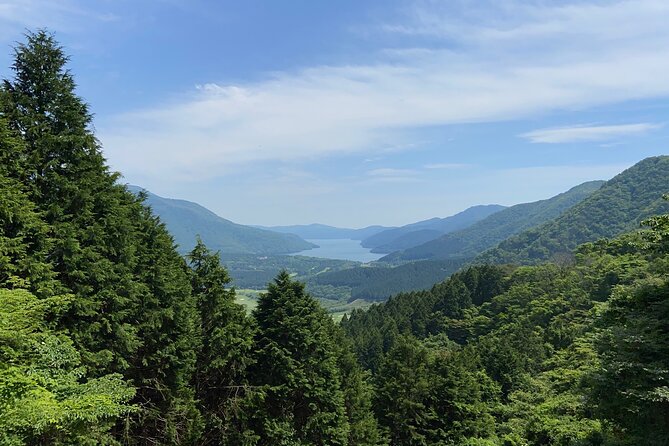 Hakone Old Tokaido Road and Volcano Half-Day Hiking Tour - Customer Reviews and Satisfaction