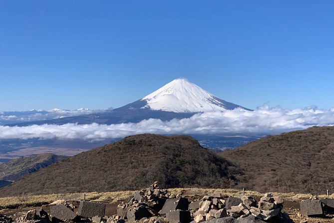 Hakone Private Two Day Tour From Tokyo With Overnight Stay in Ryokan - Customer Reviews and Photos