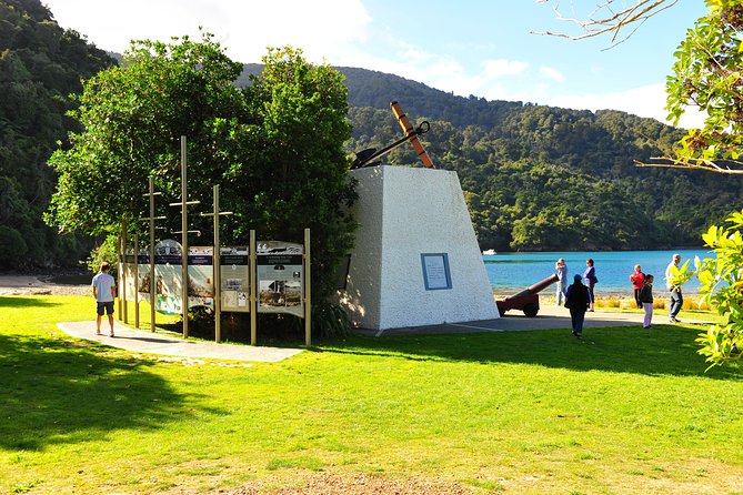 Half-Day Cruise in Marlborough Sounds From Picton - Traveler Reviews