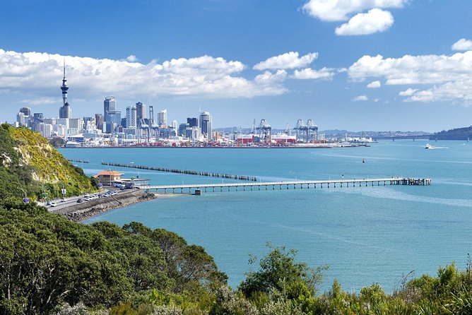 Half-day Discover Auckland City Sightseeing Tour - Small Group Experience