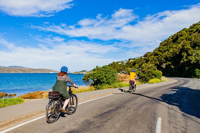 Half-Day E-Bike Rental With Helmet and Map, Wellington - Customer Reviews