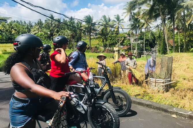 Half-Day Electric Fat Bike Tour of Ubud - Additional Information