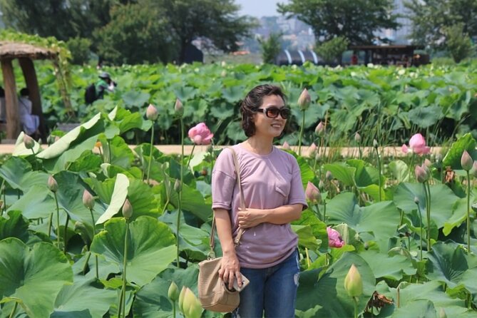 Half-Day Excursión Lotus Flowers and Local Foods From Busan - Maximum Travelers Per Excursion