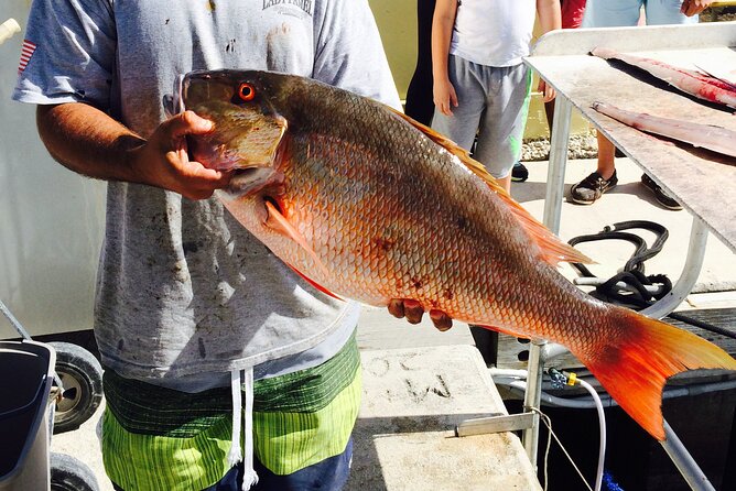 Half-Day Fishing Trip in Fort Lauderdale - Fishing Equipment and Instruction Provided