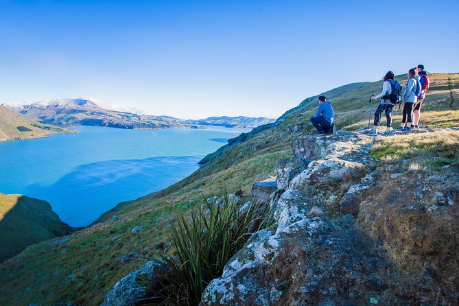 Half Day Guided Walking Tour on Banks Peninsula - Additional Information and Resources