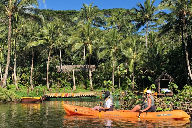 Half-Day Kayak and Waterfall Hike Tour in Kauai With Lunch - Additional Tour Information