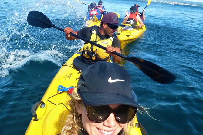 Half-Day Kayak to the Maori Rock Carvings in Lake Taupo - Overall Experience