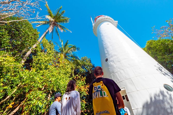 Half Day Low Isles Snorkelling Tour From Port Douglas - Traveler Reviews