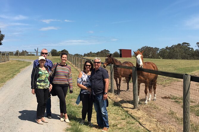 Half-Day Melbourne Racehorse Encounter - Meeting and Pickup Options