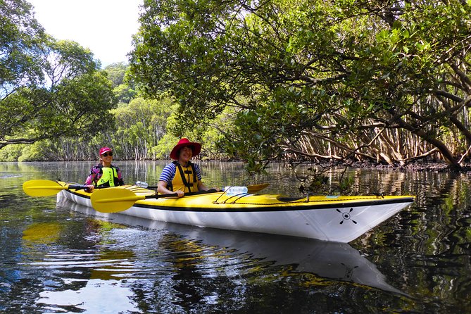 Half-Day Sydney Middle Harbour Guided Kayaking Eco Tour - Booking and Logistics
