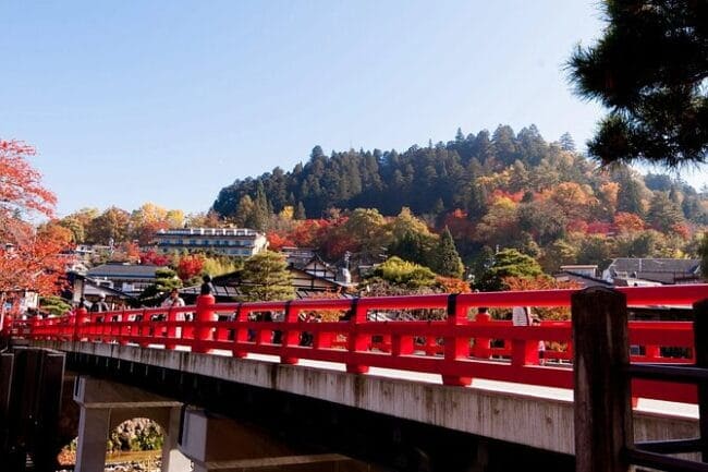 Half-Day Takayama Walking Tour With an English Speaking Guide - Guide Qualifications