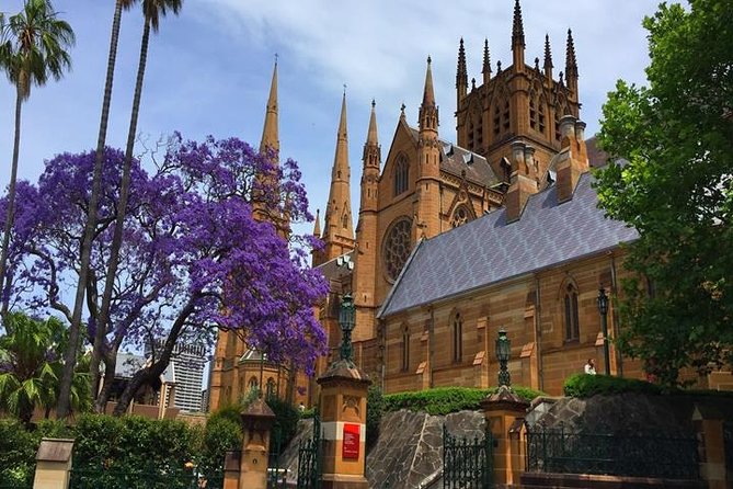 Half-Day Walking Tour in Sydney - Additional Information and Support