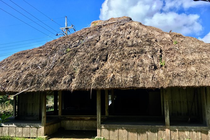 Half-Day Walking Tour to Indigenous Iriomote Village  - Iriomote-jima - Practical Information