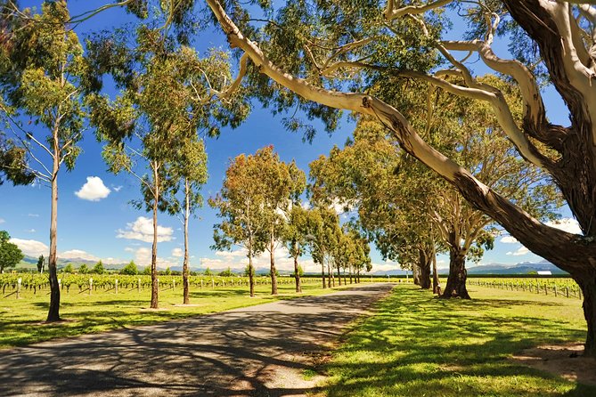 Half-Day Wine Tour From Blenheim - Directions