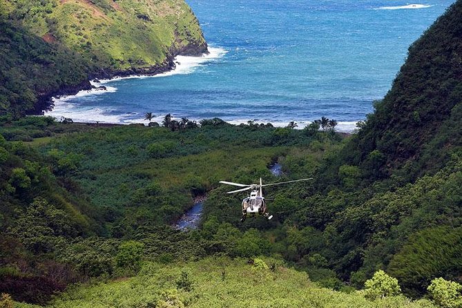 Hana Rainforest Helicopter Flight With Landing From Maui - Testimonials