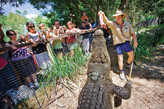 Hartleys Crocodile Adventure Half-Day Tour - Visitor Feedback and Reviews