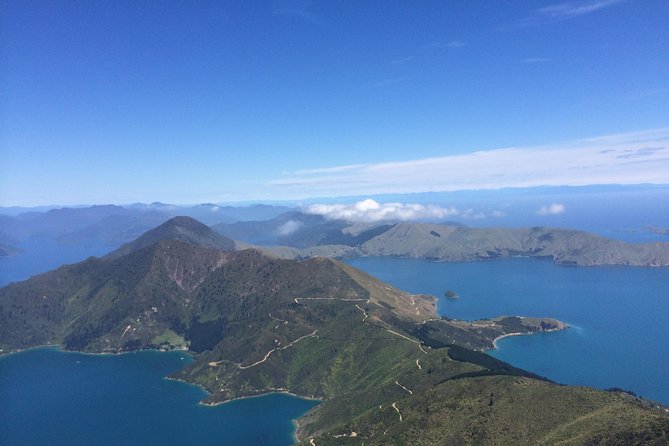 Heli-Fish Marlborough Sounds DUrville Island Indulgence - Catch and Dine - Fishing Experience With Expert Guides