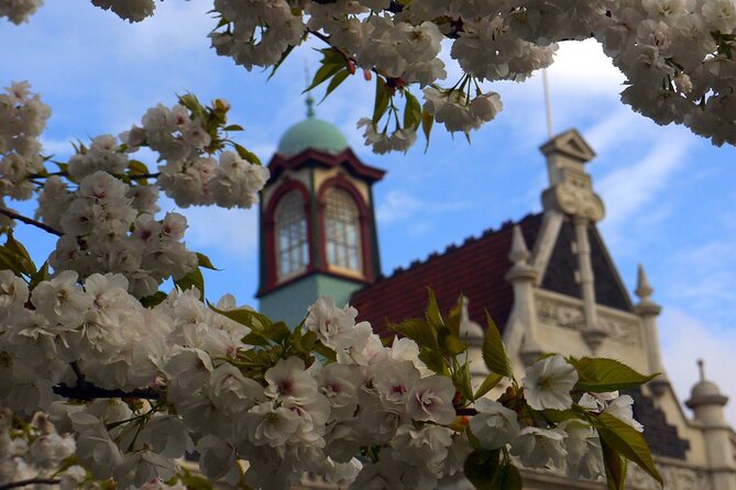 Heritage Dunedin City Walking Guided Tour - Additional Details