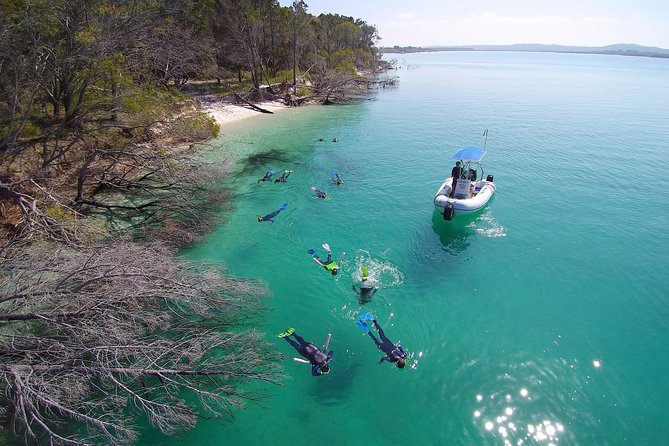 Hervey Bay to Fraser Island: Boat, Kayak, and Snorkel Day Tour - Reviews and Recommendations