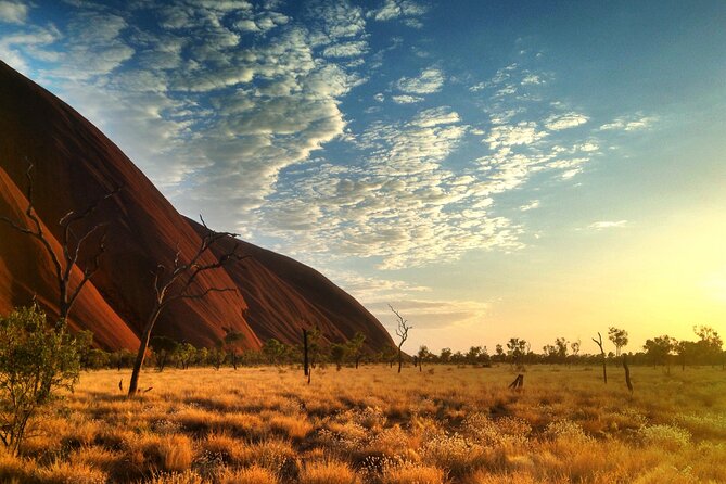 Highlights of Uluru Including Sunrise and Breakfast - Breakfast Picnic