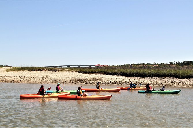 Hilton Head Guided Kayak Eco Tour - Featured Review