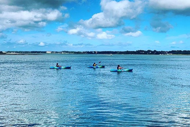 Hilton Head Guided Kayak Tour - Dolphin Sightings