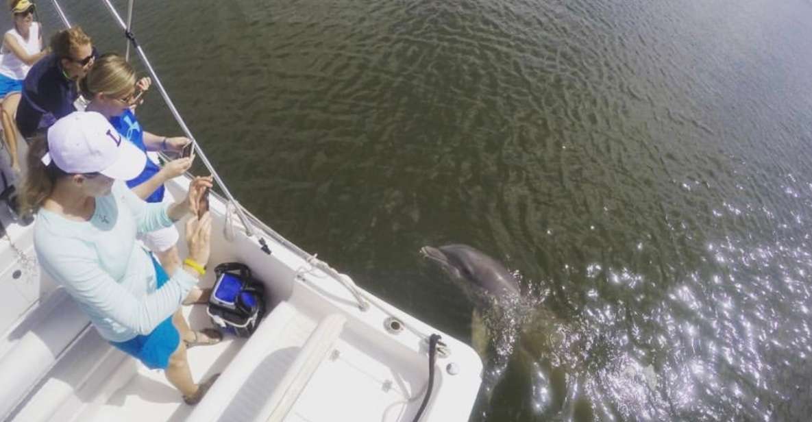 Hilton Head Island: Private Dolphin Watching Boat Tour - Important Tour Information