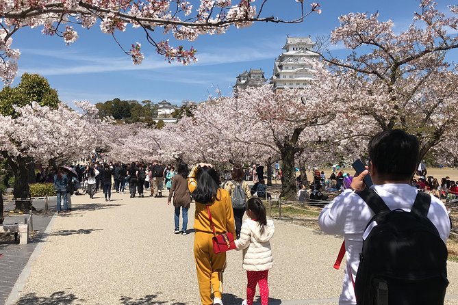 HIMEJI CASTLE Custom Tour With Private Car and Driver (Max 9 Pax) - Customer Reviews