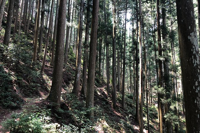 Historic and Natural Guided Hike in Yoshino - What to Bring and Prepare