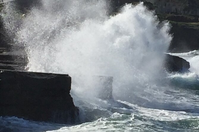 Historic La Jolla Walking Tour - Tour Schedule