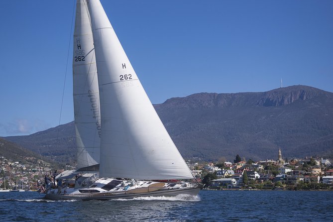 Hobart Sailing Experience - Positive Feedback