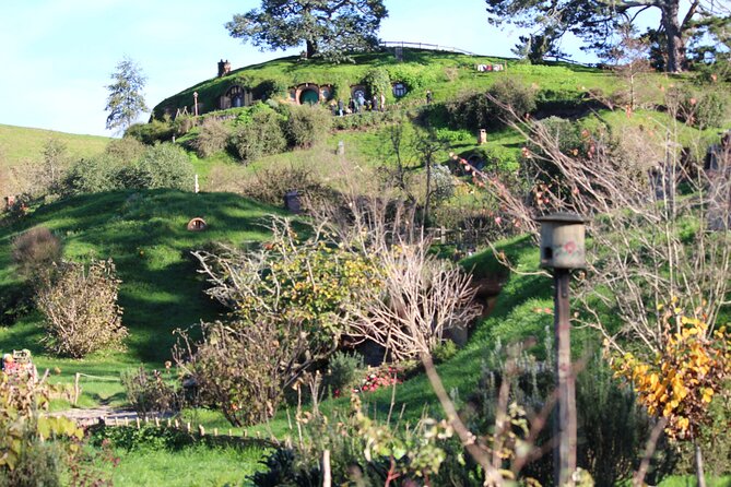 Hobbiton and Spellbound Tour (Glowworm Cave at Waitomo) - Review Summary