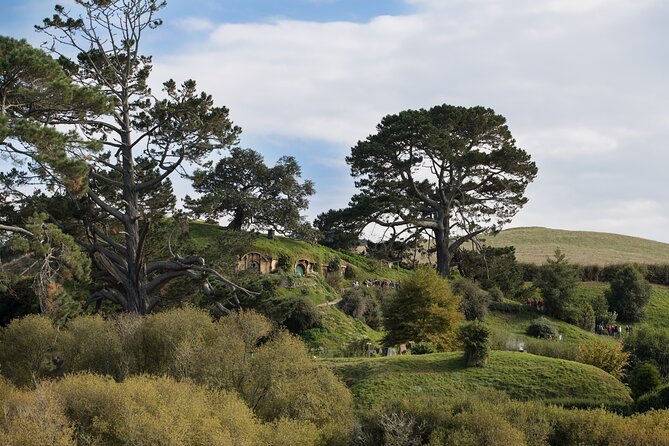 Hobbiton Day Tour From Rotorua With Lunch at Hobbiton - Booking and Logistics