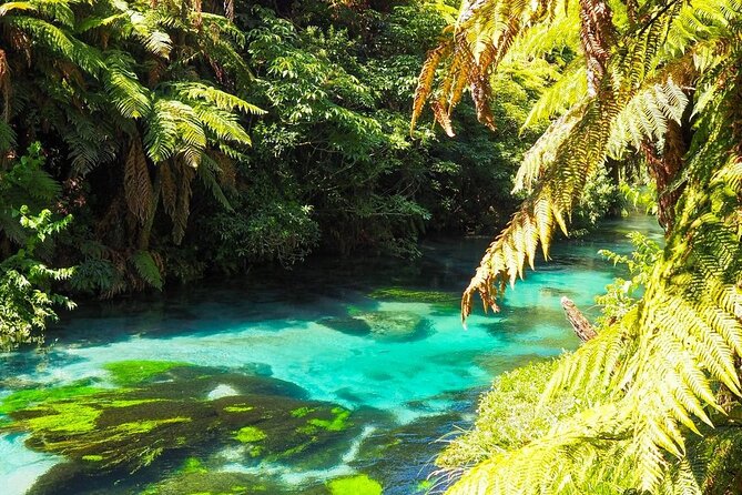 Hobbiton Movie Set Tour to Blue Springs and Mineral Spa - Pricing Details