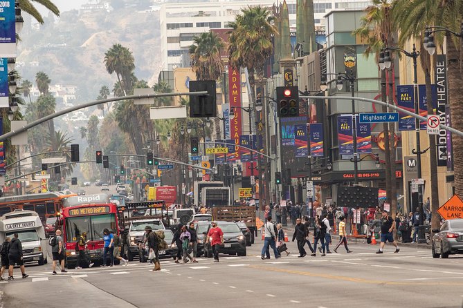 Hollywood Sightseeing and Celebrity Homes Tour by Open Bus Tours - Tour Guide Performance