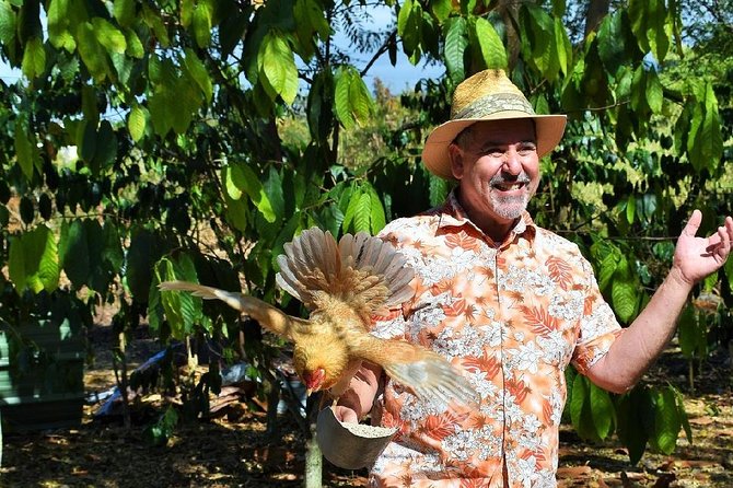 Holualoa Coffee and Chocolate Plantation 2-hour Guided Tour  - Big Island of Hawaii - Customer Reviews and Feedback