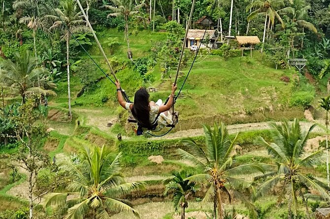 Holy Spring Purification And Ubud Volcano Private Guided Tour - Common questions
