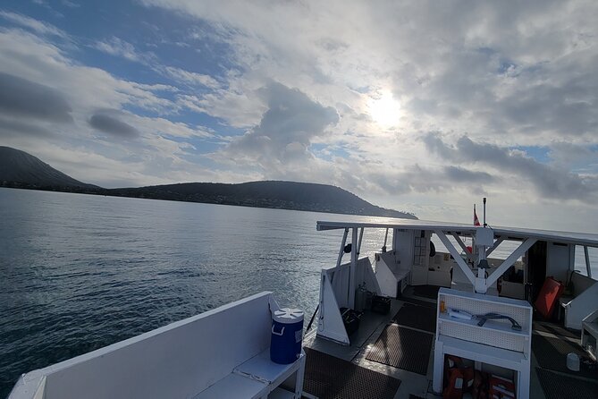 Honolulu Maunalua Bay Snorkel Tour  - Oahu - Guest Reviews