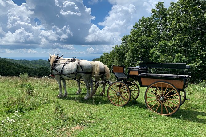 Horse and Carriage Ride Through Moses H. Cone Park - Common questions