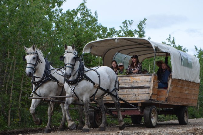 Horse-Drawn Covered Wagon Ride With Backcountry Dining - Expectations and Return